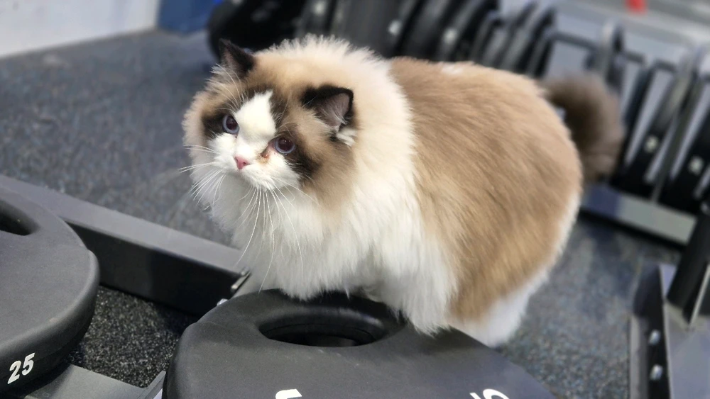 Image uploaded by Chris