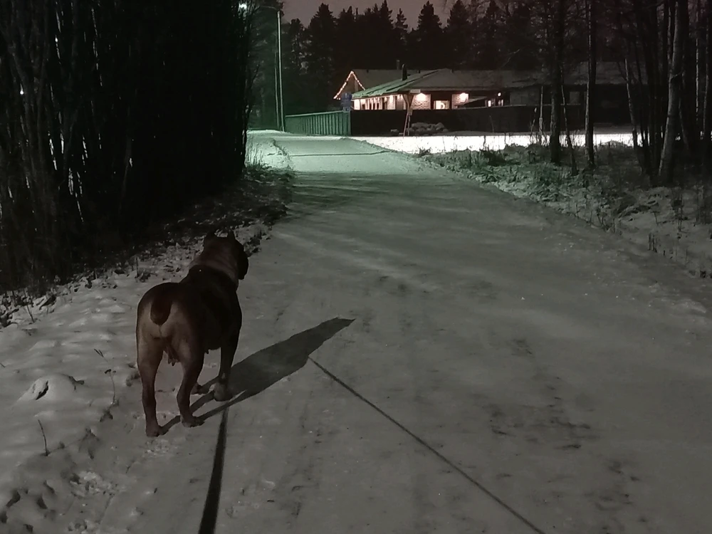 Image uploaded by Aleks