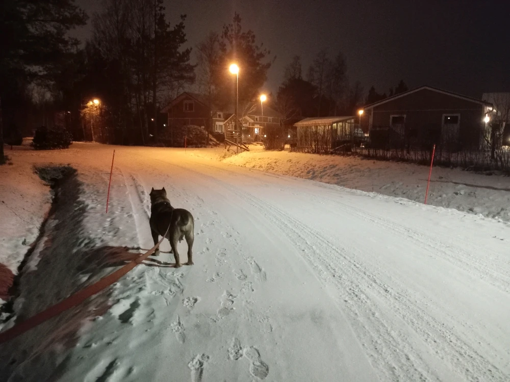 Image uploaded by Aleks