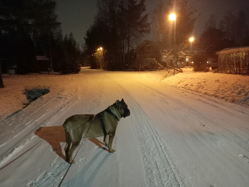 Image uploaded by Aleks