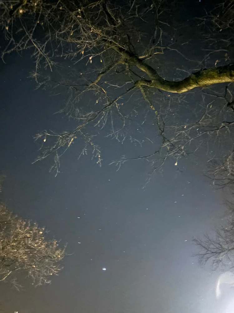 Bild hochgeladen von Jul