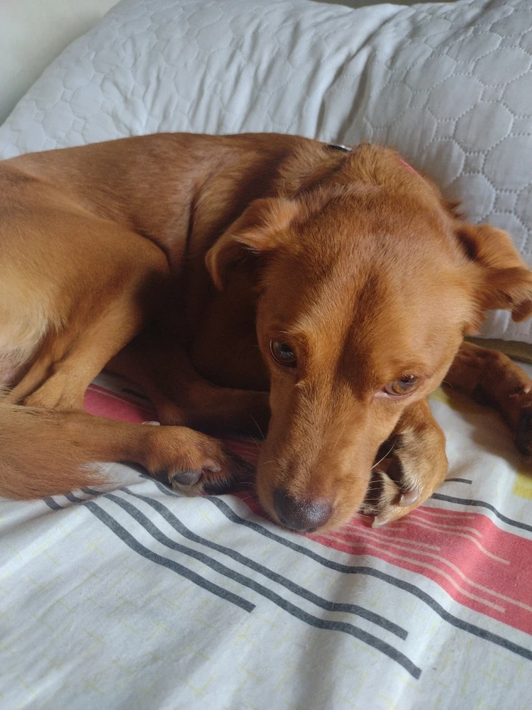 GIF subido por Carlos Alberto Rondón