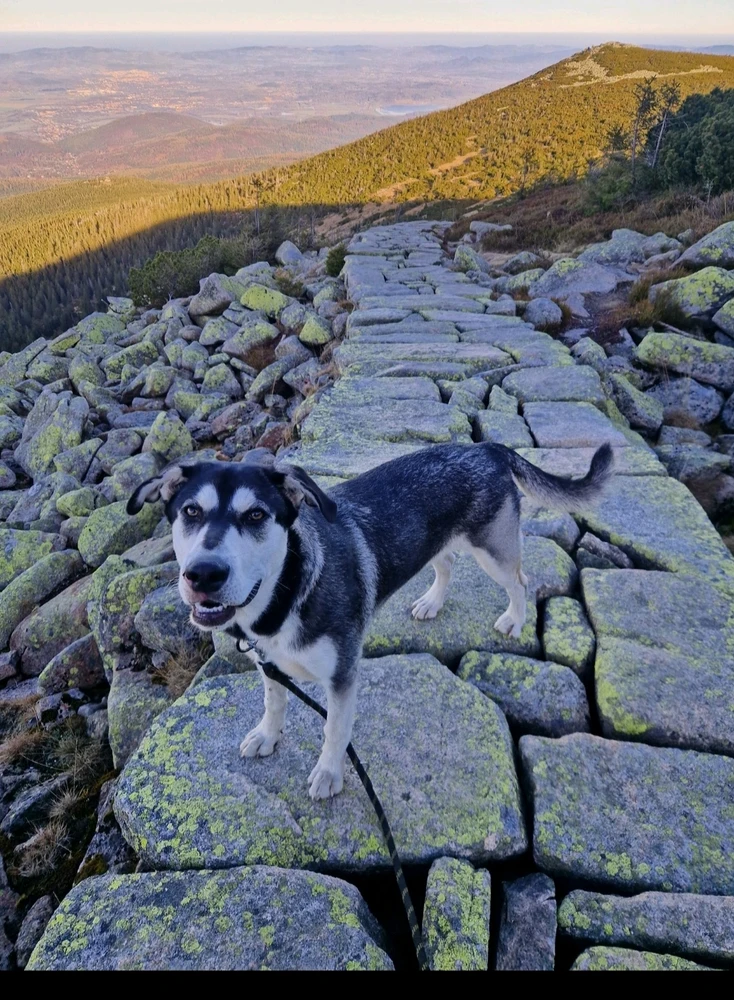 GIF nahrál Štěpán