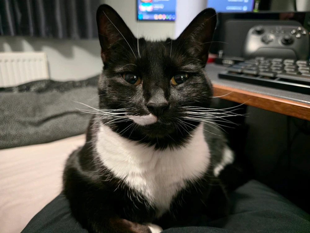 GIF uploaded by Matt