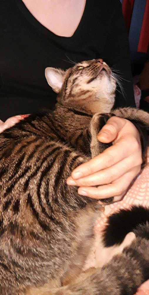 GIF hochgeladen von Marron