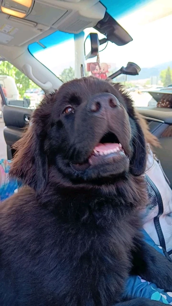 GIF uploaded by Natalee