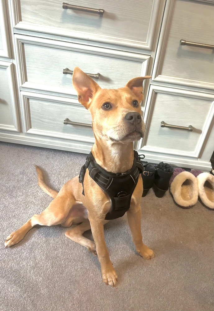 Image uploaded by Leah