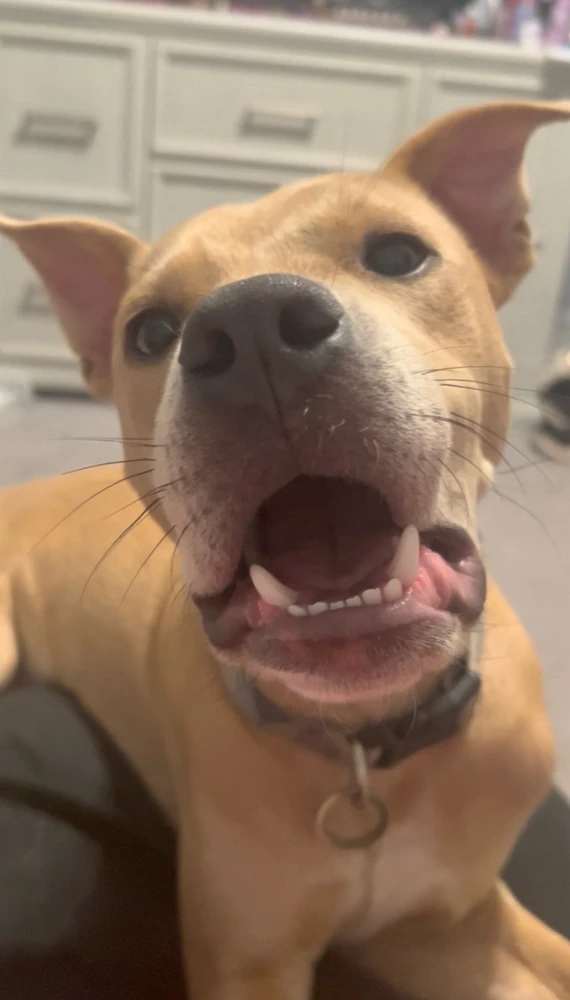 Image uploaded by Leah