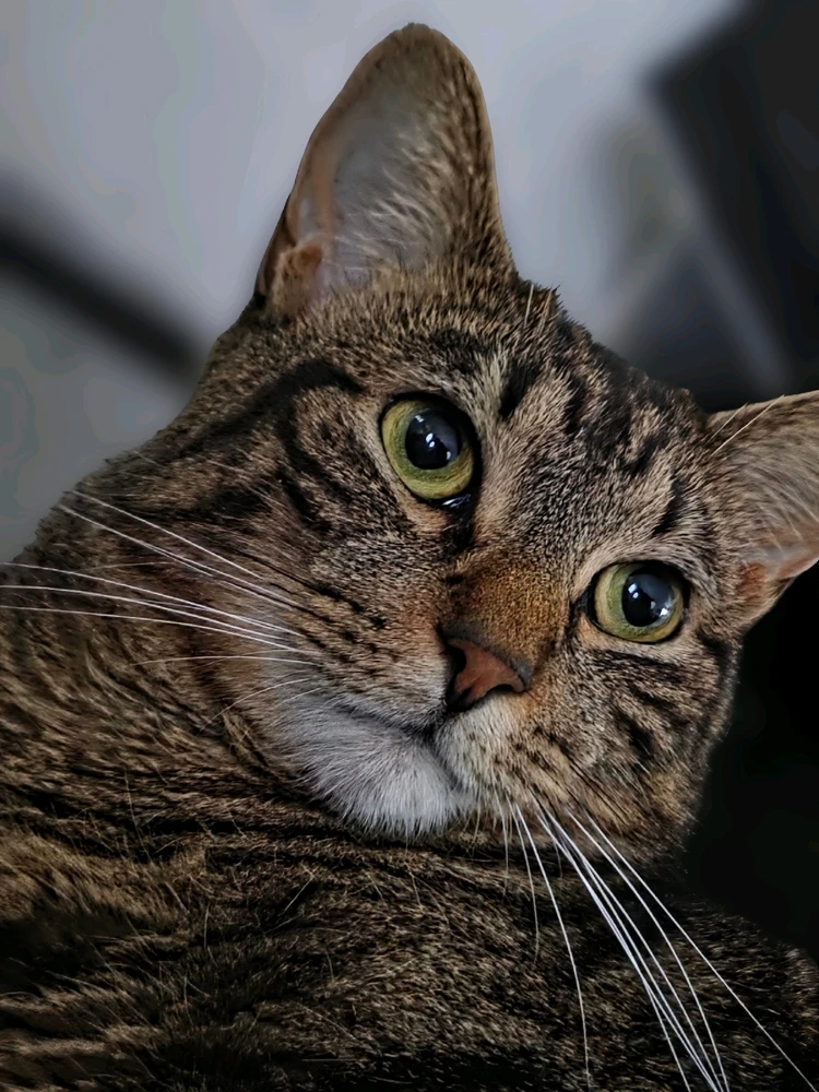 GIF diunggah dening A Z