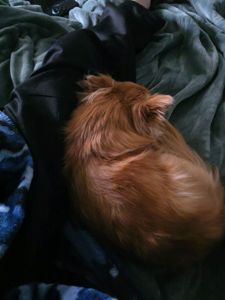 GIF uploaded by Chris
