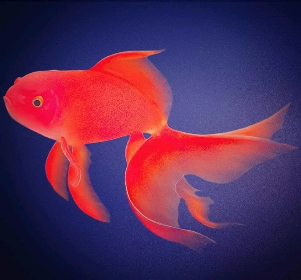 GIF uploaded by Eric