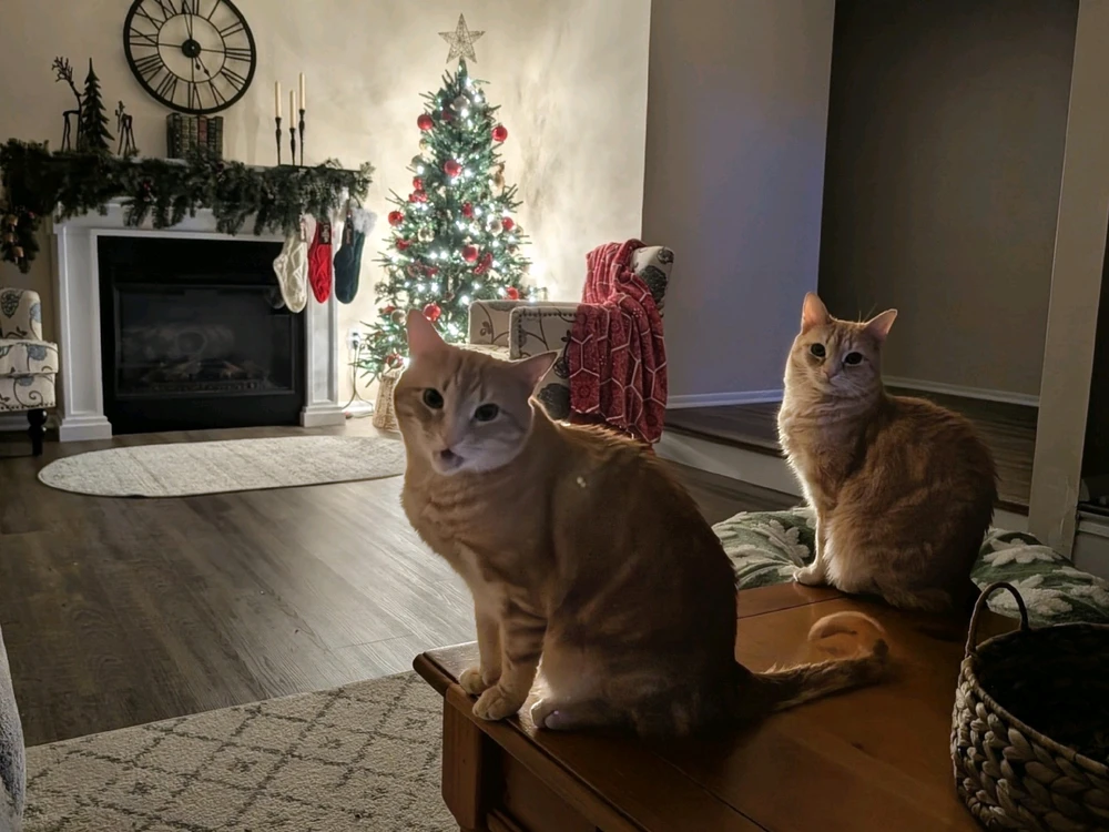 GIF uploaded by Melissa