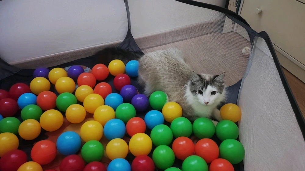 GIF diunggah dening T