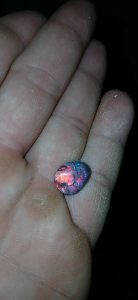 GIF uploaded by Bodie