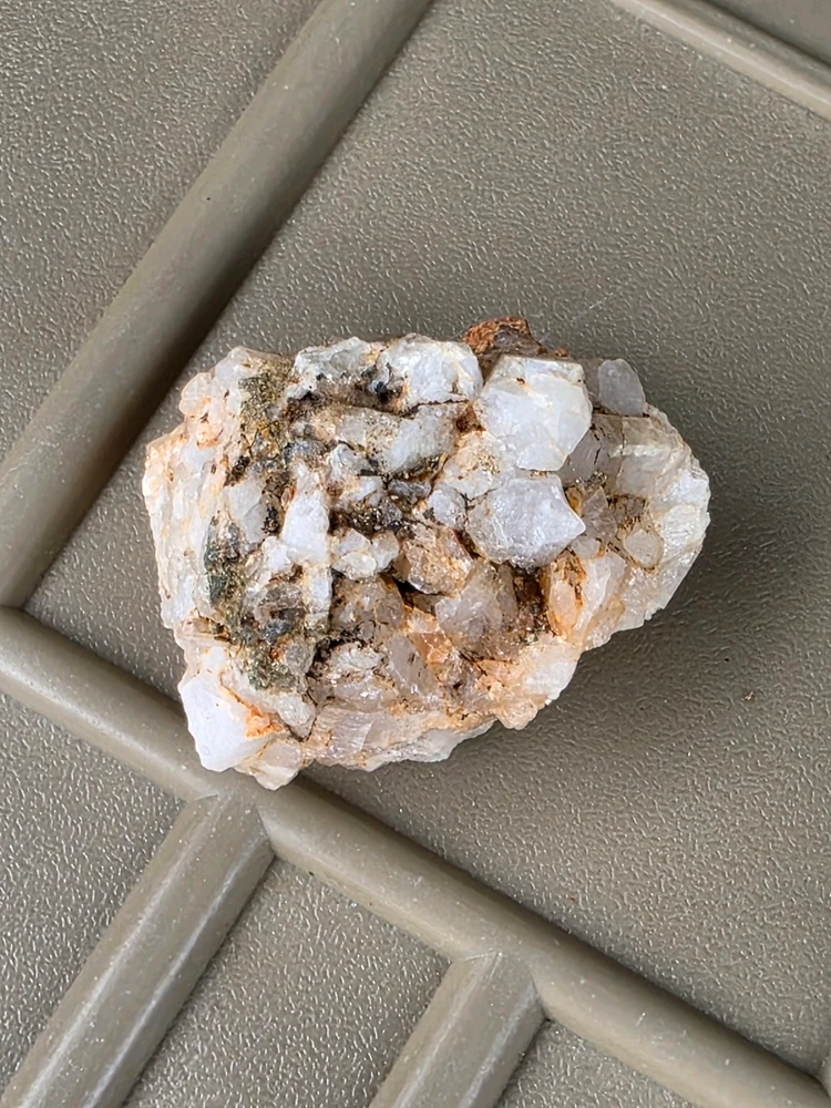 Image uploaded by Robert