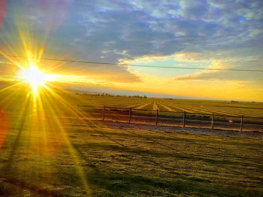 GIF uploaded by Dave