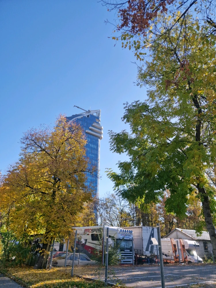 Image uploaded by Paschal