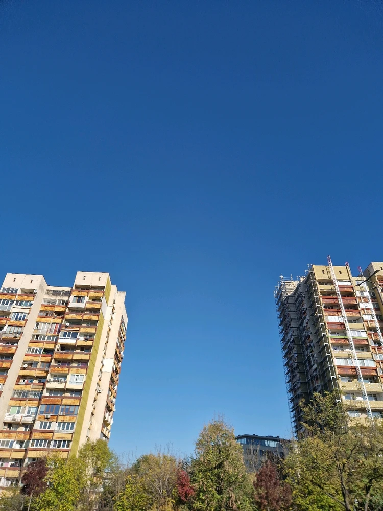 Image uploaded by Paschal