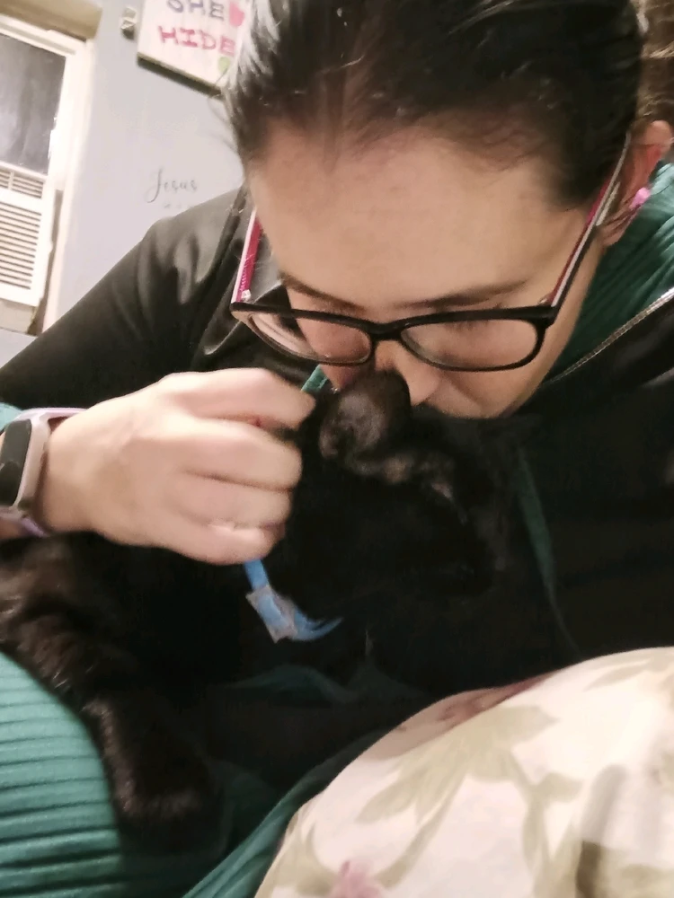 Gambar diunggah dening Kayleigh