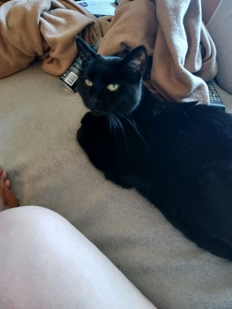 Gambar diunggah dening Kayleigh