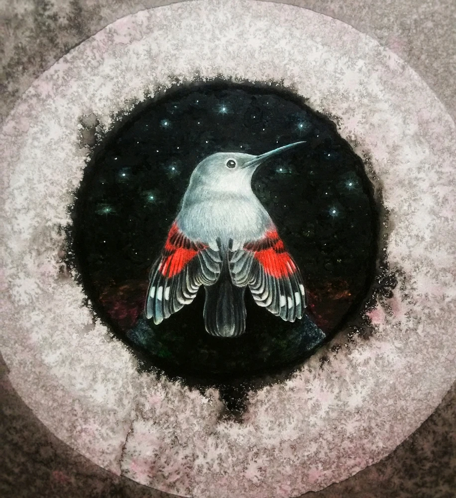 GIF загрузил Piptipay