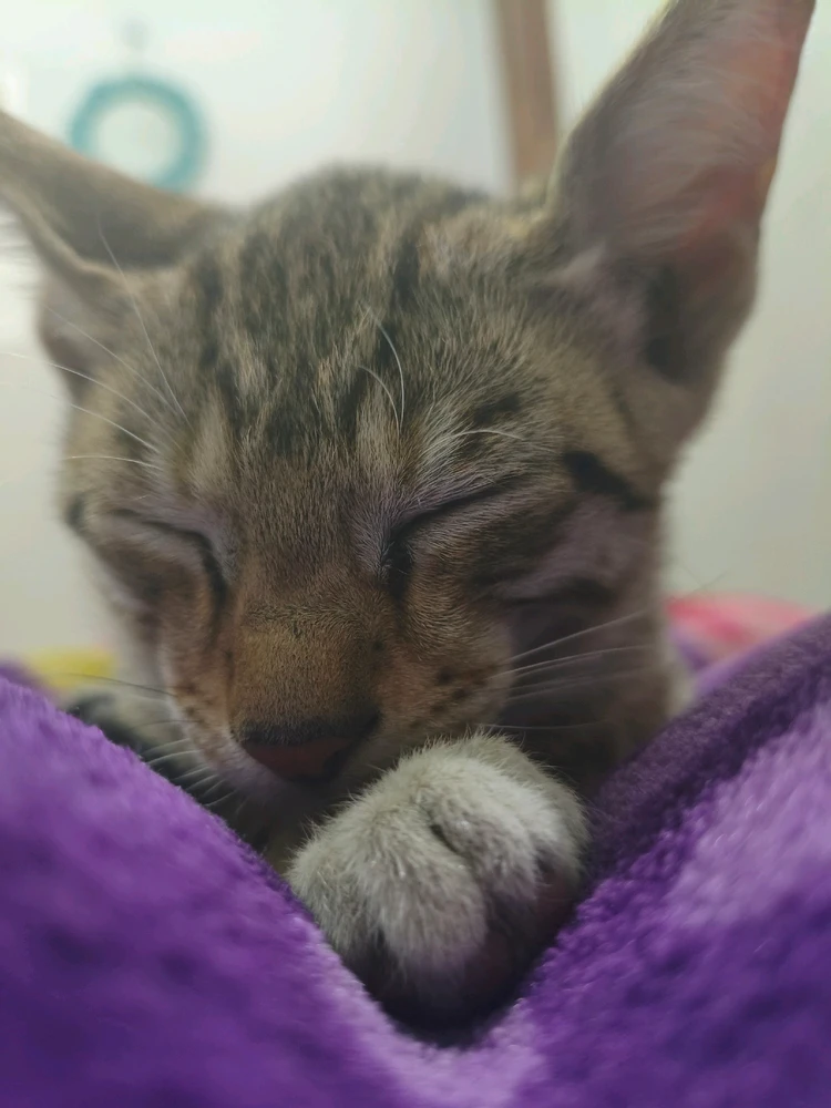 Gambar diunggah dening Lake