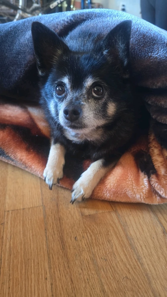 Image uploaded by William