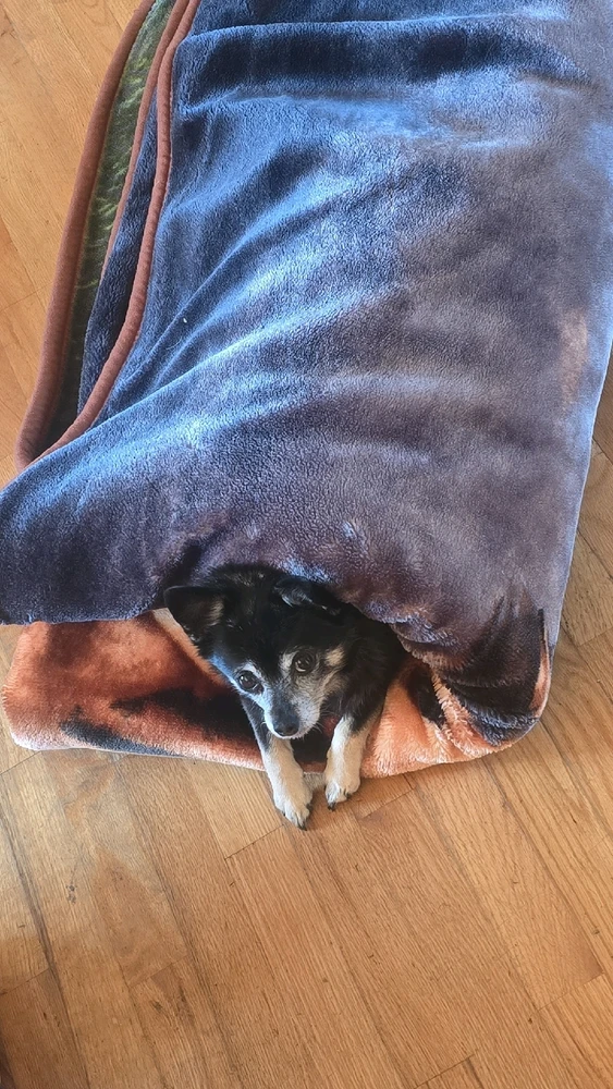 Image uploaded by William