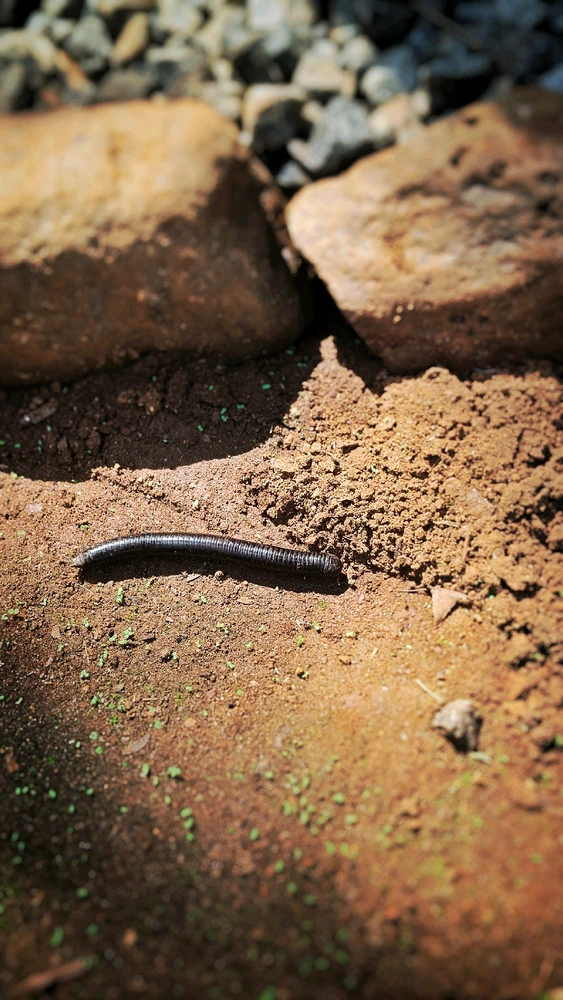 GIF uploaded by Rashy