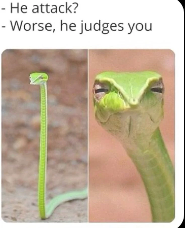 GIF uploaded by Sophy