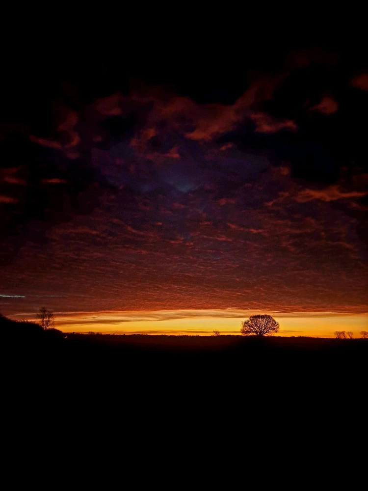 Image uploaded by JD