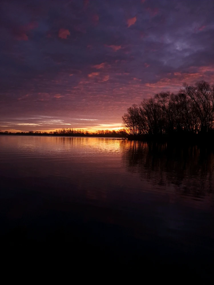 Image uploaded by JD