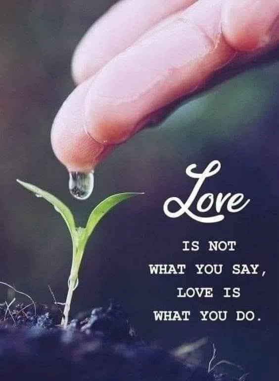 GIF uploaded by Victor