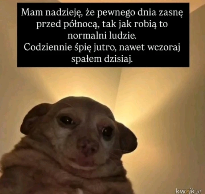 GIF dodany przez MishaKa