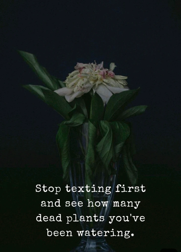 GIF uploaded by ΣMMΛПЦΣᄂ