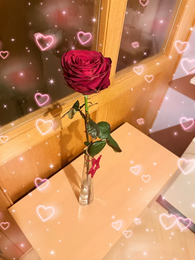 GIF hochgeladen von Jasmin