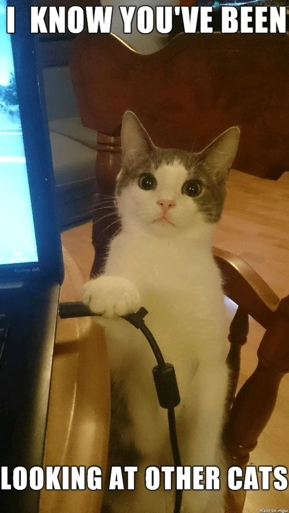 GIF uploaded by Terry