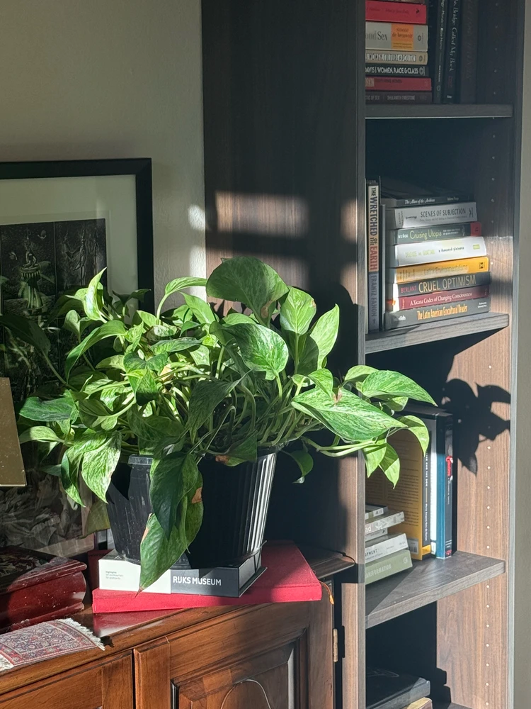 Image uploaded by eli