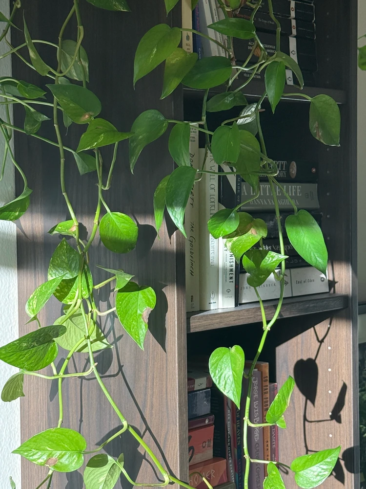 Image uploaded by eli