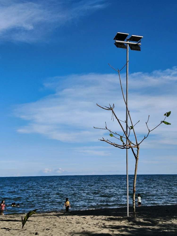 Image uploaded by Asha