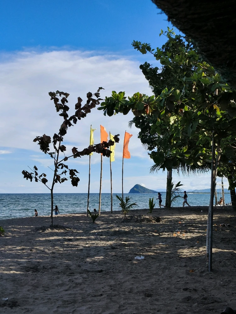 Image uploaded by Asha