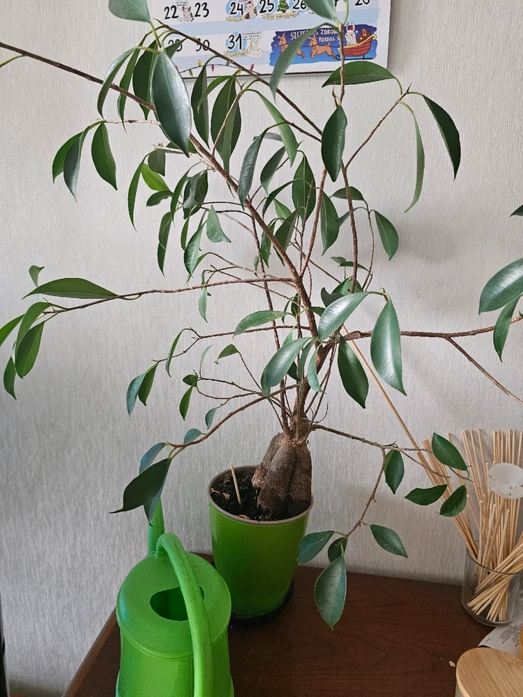 GIF dodany przez Patryk