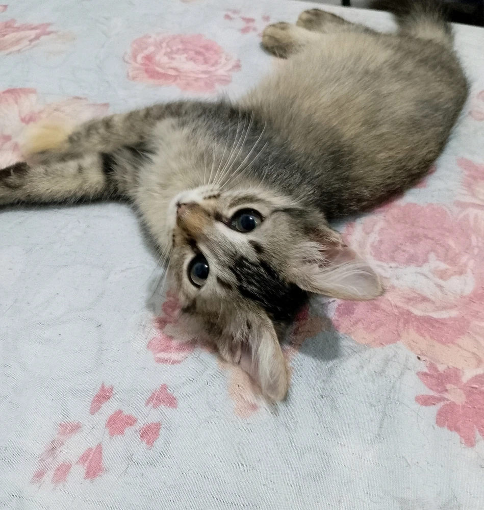 Imagem enviada por Mallu