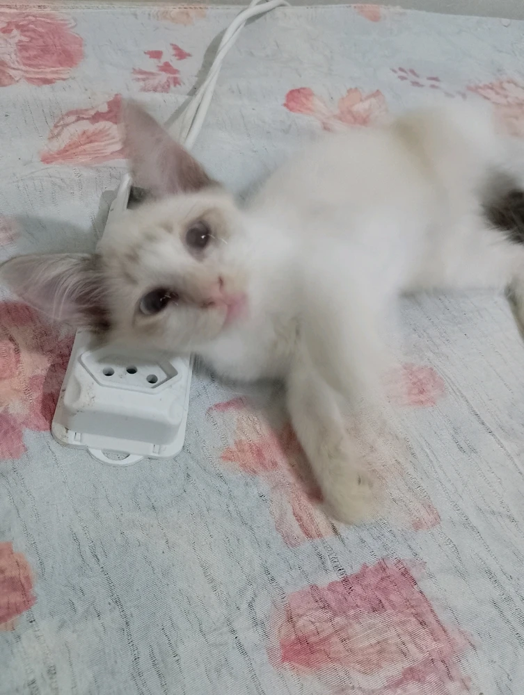 Imagem enviada por Mallu