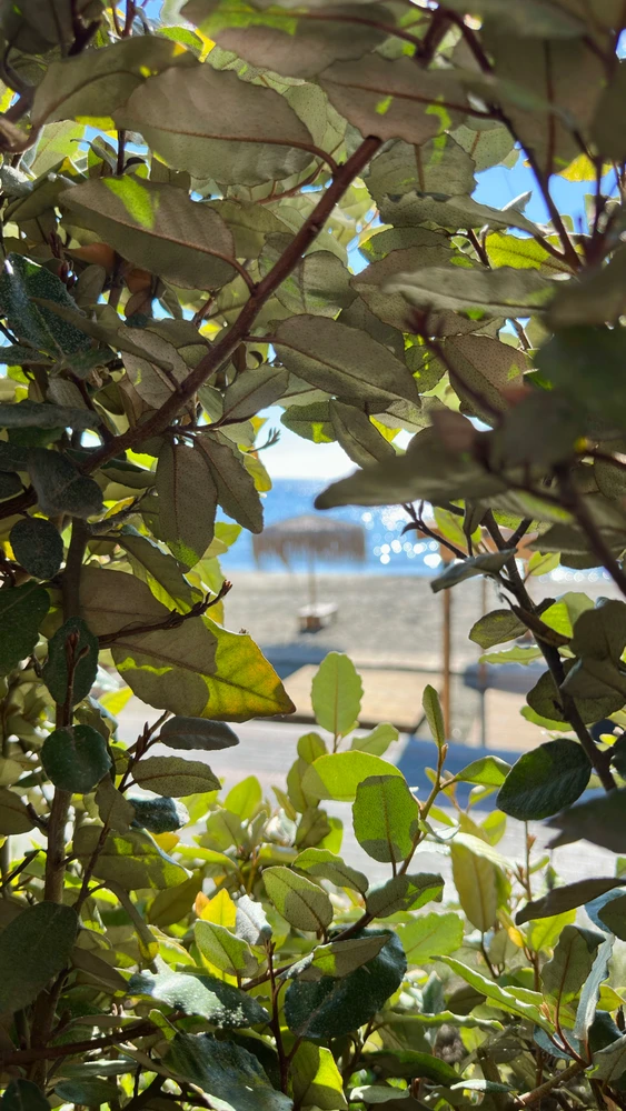 GIF uploaded by Vartan