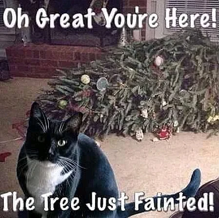 GIF uploaded by ΠΠ»Π΅ΠΊΡΠ΅ΠΉ