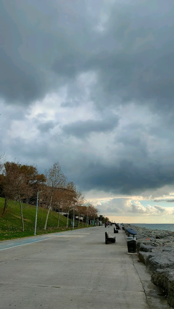 Image uploaded by Yellow