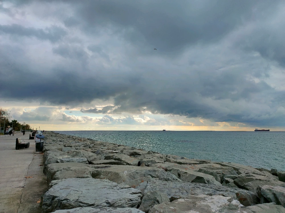 Image uploaded by Yellow