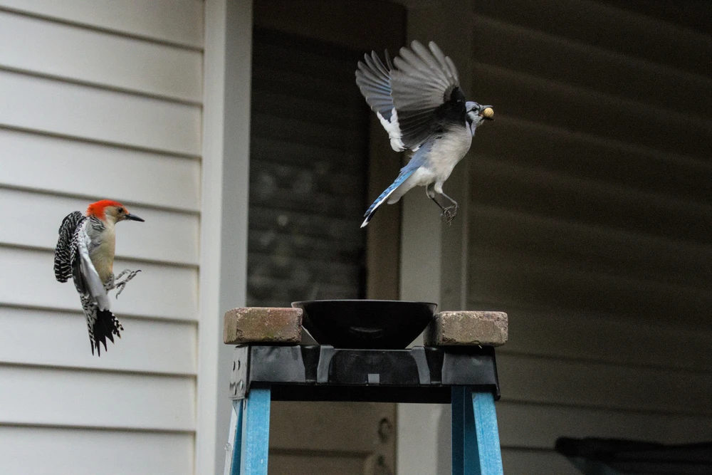 Image uploaded by Casper