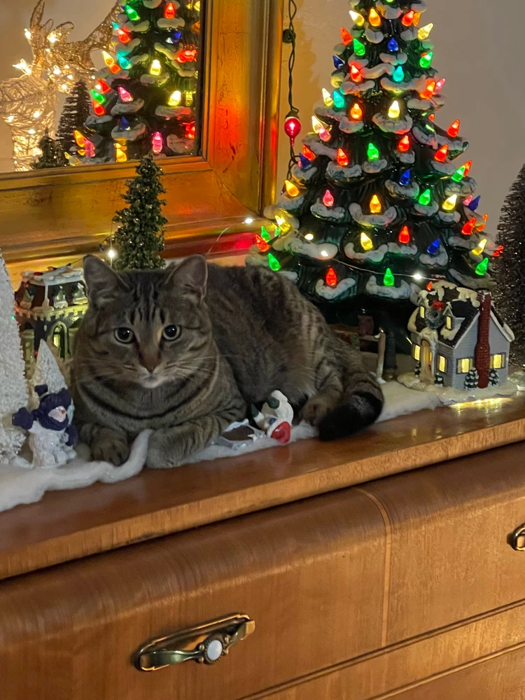 GIF uploaded by Jacob